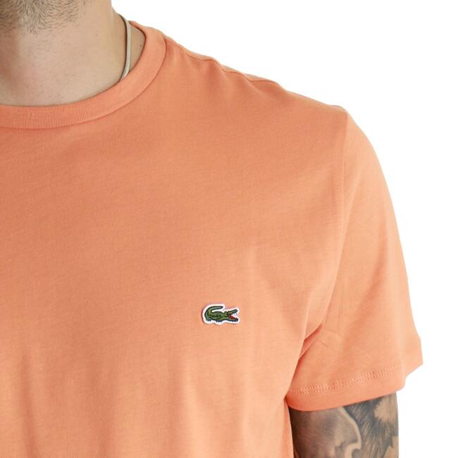 T-SHIRT BASIC LACOSTE - Mad Fashion | img vers.650x/